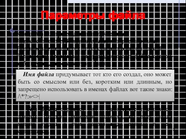 Параметры файла Каждый файл при создании получает имя. Имя состоит из собственного