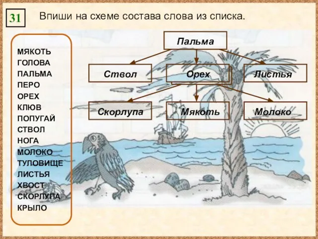 31 Впиши на схеме состава слова из списка. МЯКОТЬ ГОЛОВА ПАЛЬМА ПЕРО