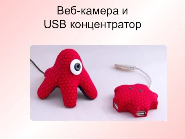 Веб-камера и USB концентратор