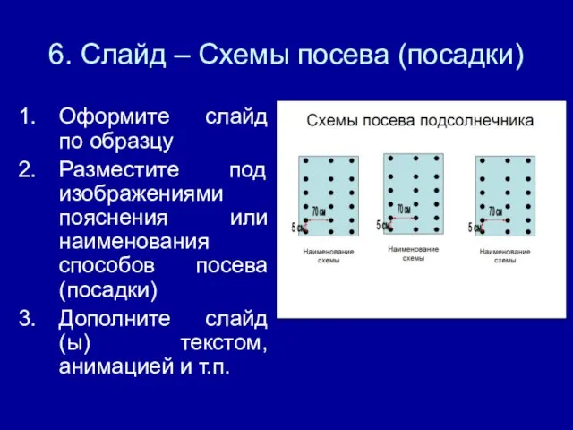 6. Слайд – Схемы посева (посадки) Оформите слайд по образцу Разместите под