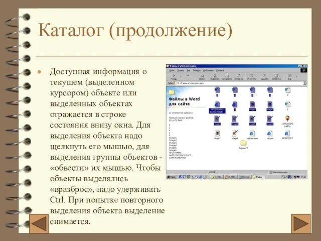 Каталог (продолжение) Доступная информация о текущем (выделенном курсором) объекте или выделенных объектах