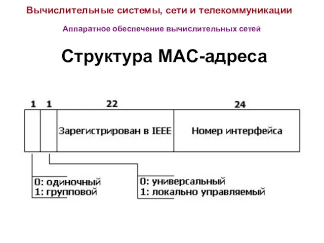 Вычислительные системы, сети и телекоммуникации Аппаратное обеспечение вычислительных сетей Структура MAC-адреса