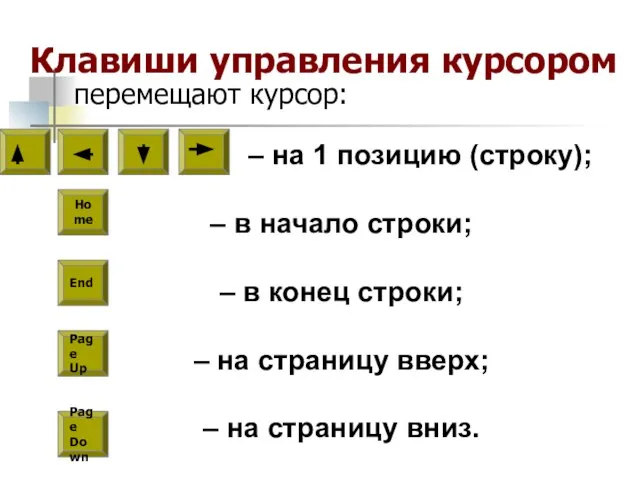 Клавиши управления курсором перемещают курсор: – на 1 позицию (строку); – в