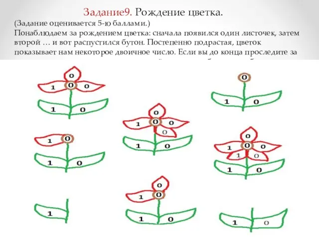 Задание9. Рождение цветка. (Задание оценивается 5-ю баллами.) Понаблюдаем за рождением цветка: сначала