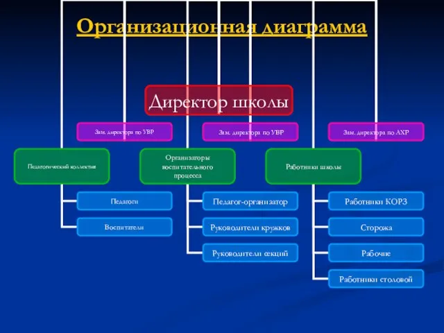 Организационная диаграмма