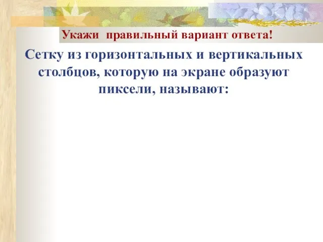 Сетку из горизонтальных и вертикальных столбцов, которую на экране образуют пиксели, называют: Укажи правильный вариант ответа!