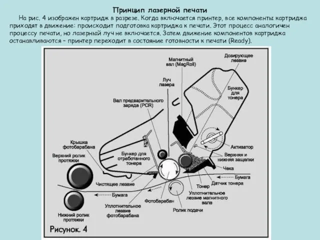 Принцип лазерной печати На рис. 4 изображен картридж в разрезе. Когда включается