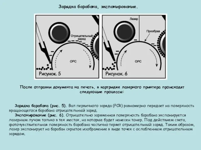 Зарядка барабана, экспонирование. После отправки документа на печать, в картридже лазерного принтера