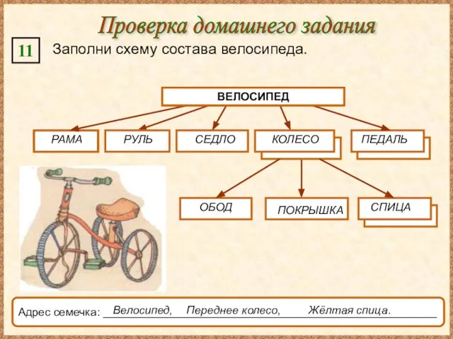 Проверка домашнего задания 11 Заполни схему состава велосипеда. ВЕЛОСИПЕД СЕДЛО ОБОД Адрес