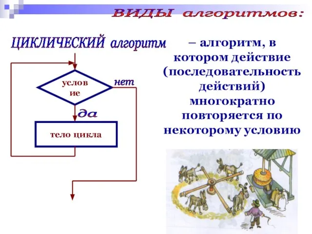 – алгоритм, в котором действие (последовательность действий) многократно повторяется по некоторому условию