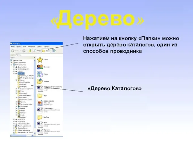 «Дерево» Нажатием на кнопку «Папки» можно открыть дерево каталогов, один из способов проводника «Дерево Каталогов»