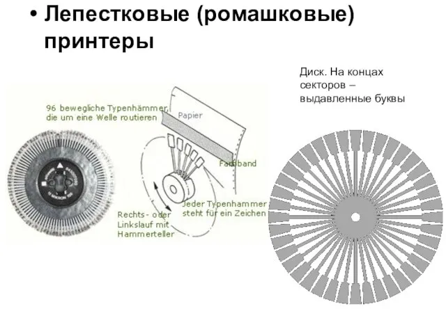 Лепестковые (ромашковые) принтеры Диск. На концах секторов – выдавленные буквы