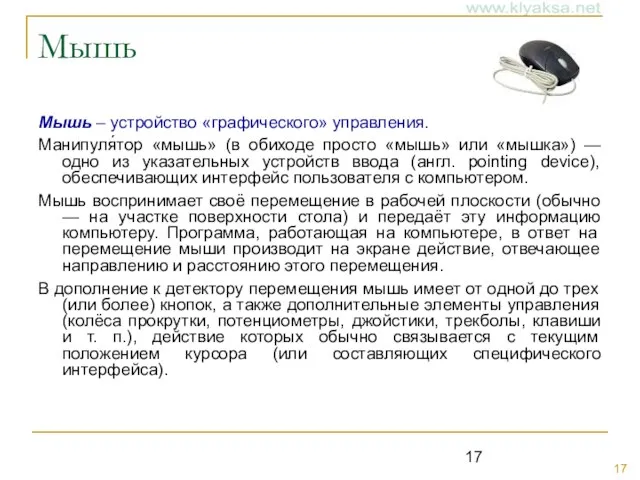 Мышь Мышь – устройство «графического» управления. Манипуля́тор «мышь» (в обиходе просто «мышь»