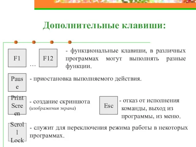 Дополнительные клавиши: - функциональные клавиши, в различных программах могут выполнять разные функции.