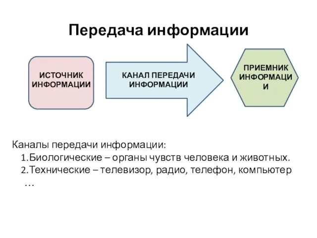 Передача информации Каналы передачи информации: Биологические – органы чувств человека и животных.