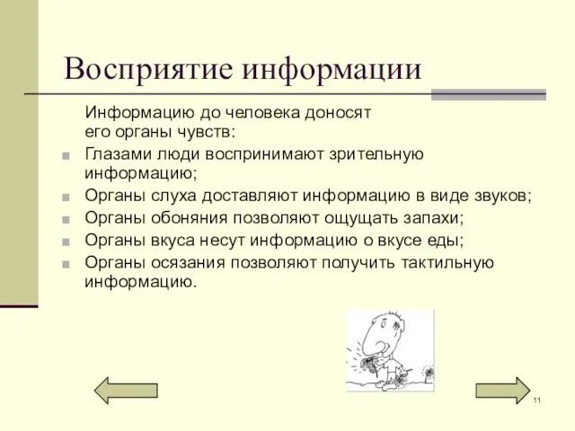 Восприятие информации Информацию до человека доносят его органы чувств: Глазами люди воспринимают