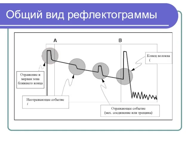 Общий вид рефлектограммы