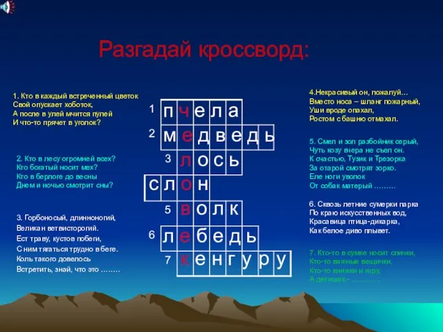 3. Горбоносый, длинноногий, Великан ветвисторогий. Ест траву, кустов побеги, С ним тягаться