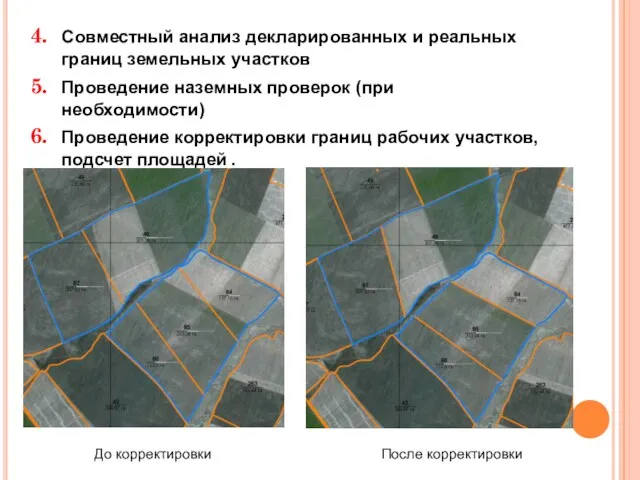 Совместный анализ декларированных и реальных границ земельных участков Проведение наземных проверок (при