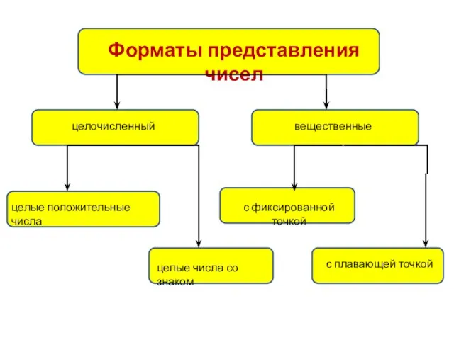 Форматы представления чисел целочисленный вещественные целые положительные числа целые числа со знаком