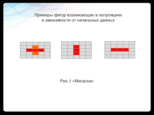 Рис.1 «Мигалка» Примеры фигур возникающих в популяциях в зависимости от начальных данных