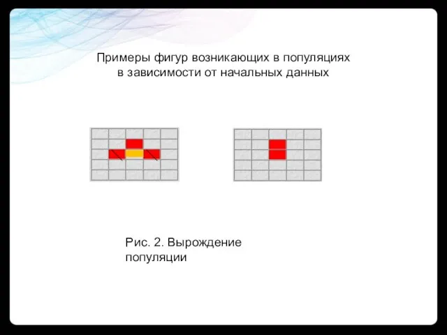 Рис. 2. Вырождение популяции Примеры фигур возникающих в популяциях в зависимости от начальных данных