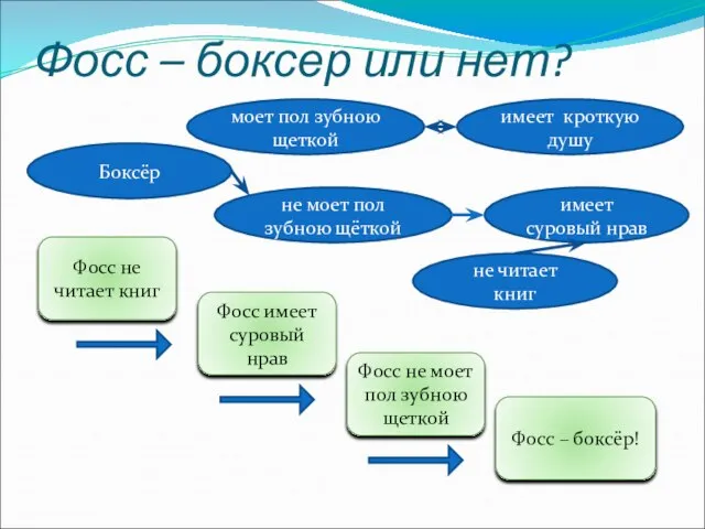 Фосс – боксер или нет? Боксёр моет пол зубною щеткой имеет кроткую