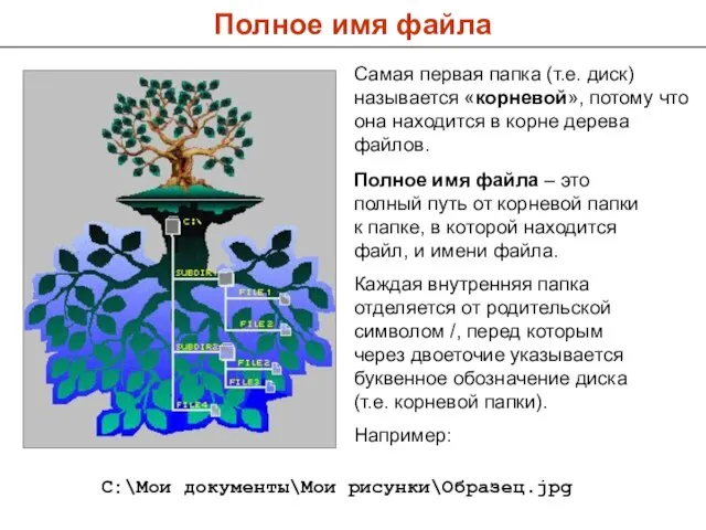 Полное имя файла Самая первая папка (т.е. диск) называется «корневой», потому что