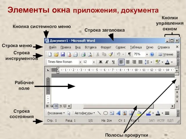 Элементы окна приложения, документа Строка заголовка Строка меню Строка инструментов Строка состояния