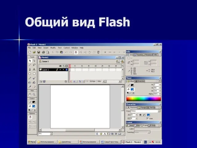 Общий вид Flash