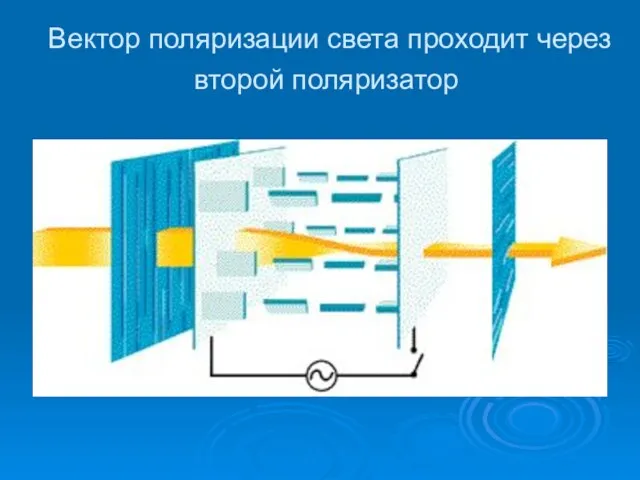 Вектор поляризации света проходит через второй поляризатор