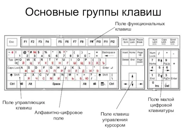 Основные группы клавиш Алфавитно-цифровое поле Поле управляющих клавиш Поле клавиш управления курсором