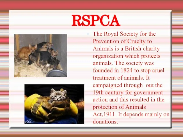 The Royal Society for the Prevention of Cruelty to Animals is a