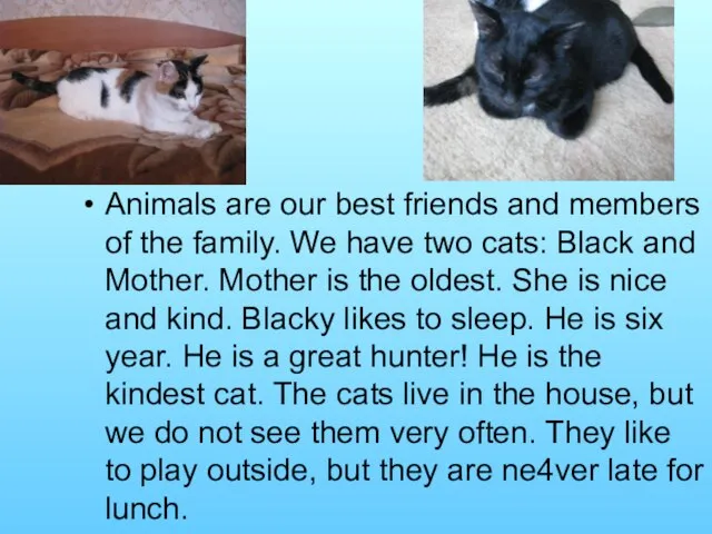Animals are our best friends and members of the family. We have