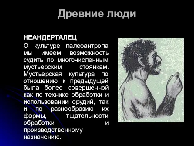 Древние люди НЕАНДЕРТАЛЕЦ О культуре палеоантропа мы имеем возможность судить по многочисленным