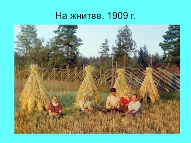 На жнитве. 1909 г.