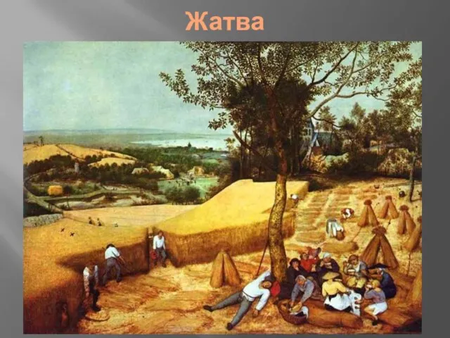 Жатва