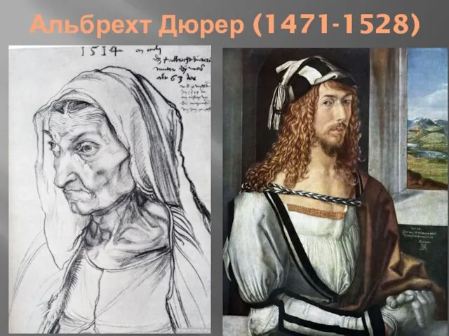 Альбрехт Дюрер (1471-1528)