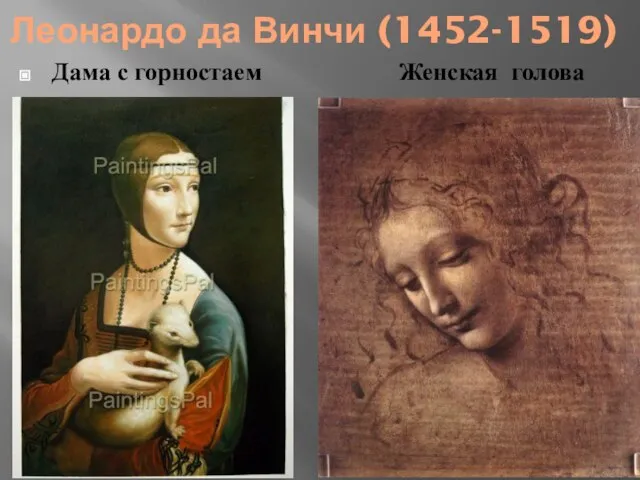 Леонардо да Винчи (1452-1519) Дама с горностаем Женская голова