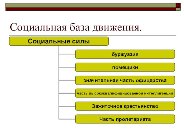 Социальная база движения.