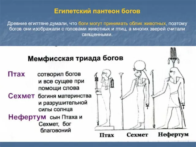 Египетский пантеон богов Древние египтяне думали, что боги могут принимать облик животных,