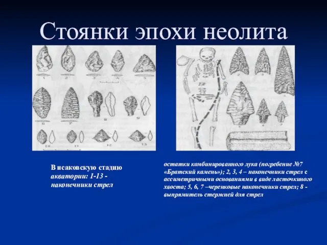 Стоянки эпохи неолита В исаковскую стадию акватории: 1-13 - наконечники стрел остатки