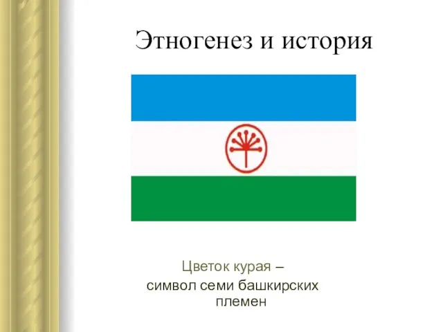 Этногенез и история Цветок курая – символ семи башкирских племен