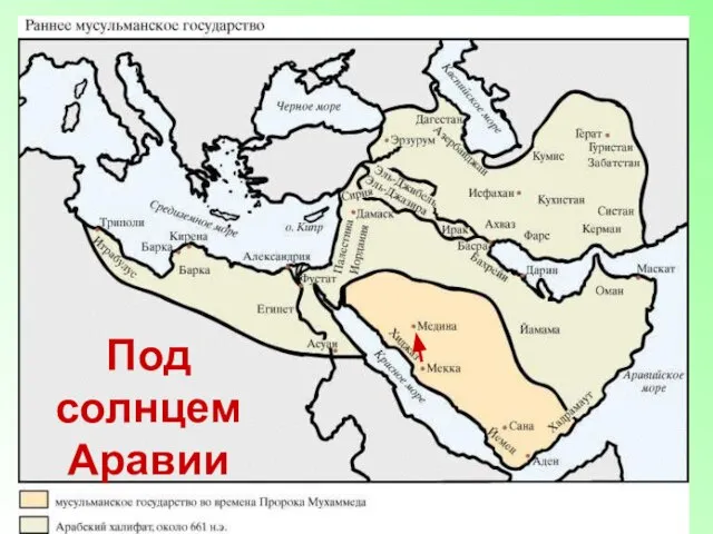 Под солнцем Аравии