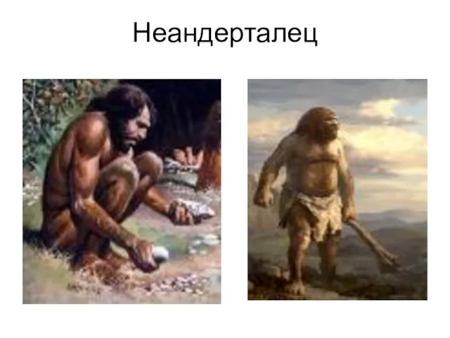 Неандерталец