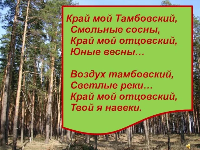 Край мой Тамбовский, Смольные сосны, Край мой отцовский, Юные весны… Воздух тамбовский,