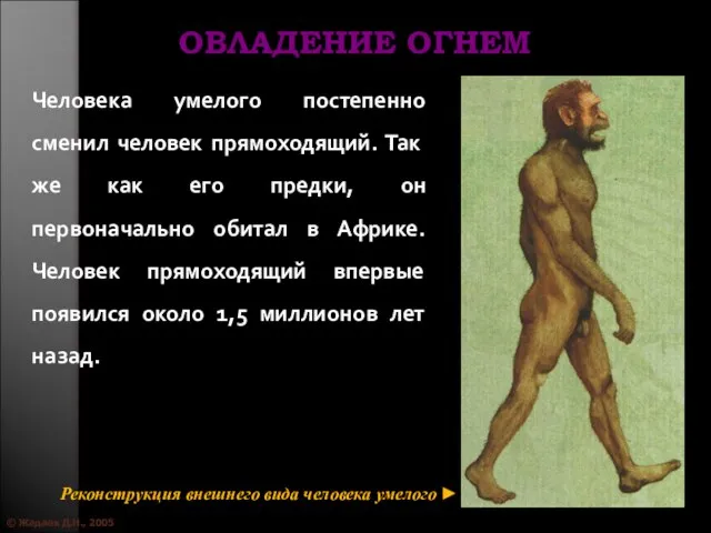 © Жадаев Д.Н., 2005 ОВЛАДЕНИЕ ОГНЕМ Человека умелого постепенно сменил человек прямоходящий.