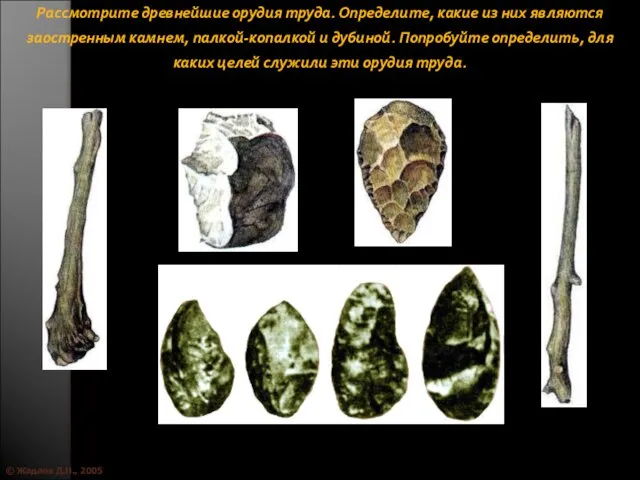 © Жадаев Д.Н., 2005 Рассмотрите древнейшие орудия труда. Определите, какие из них