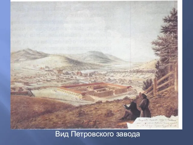 Вид Петровского завода