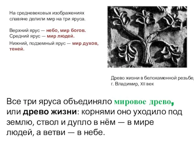 Древо жизни в белокаменной резьбе, г. Владимир, XII век На средневековых изображениях